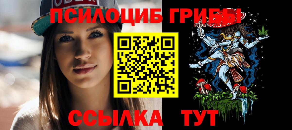 Галлюциногенные грибы Psilocybine cubensis  Галлюциногенные грибы Psilocybe  Вход с VPN  Ленинск-Кузнецкий 